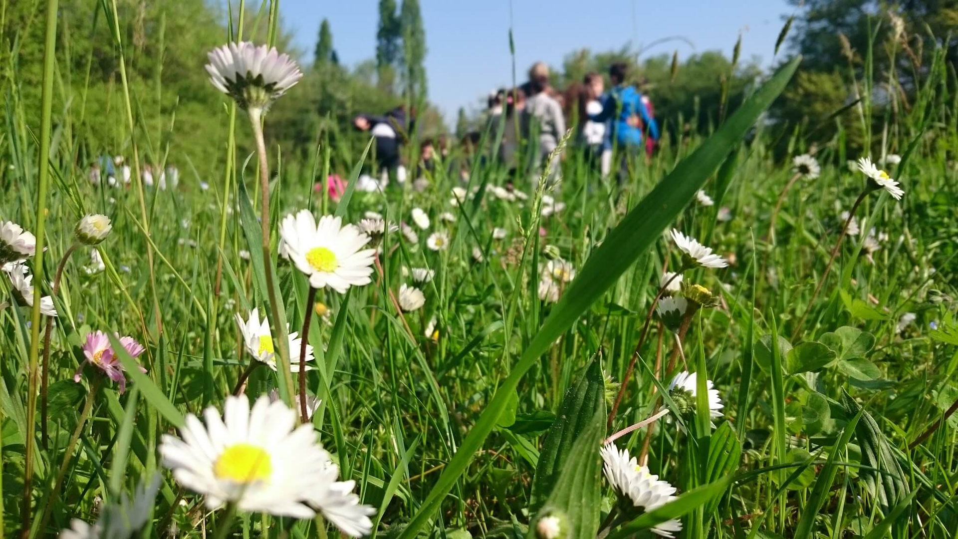 parco nord
