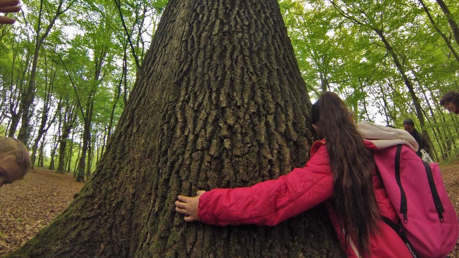 in un bosco una bambina abbraccia un albero