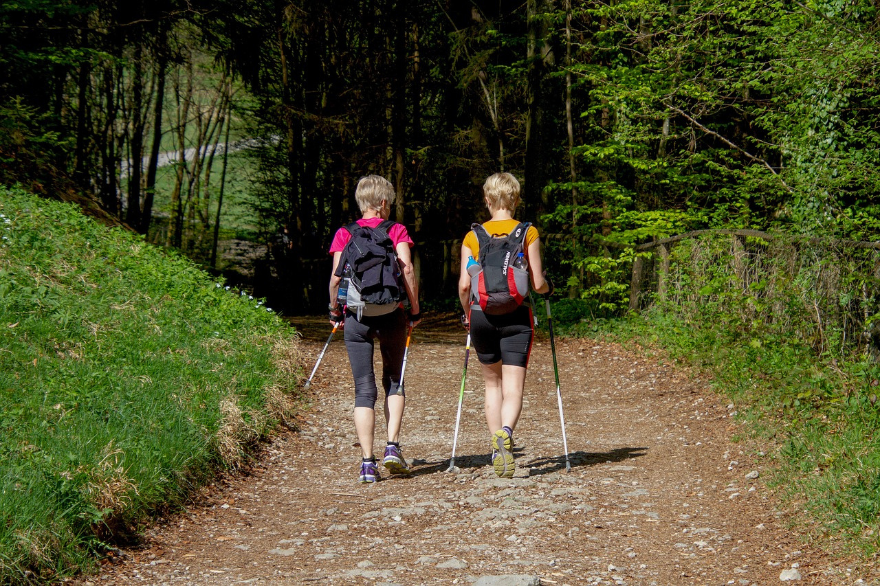 nordic walking