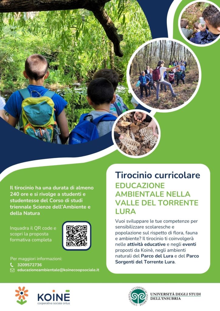 locandina tirocinio Koinè_Uni Insubria