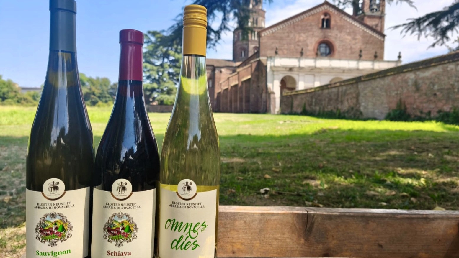 Degustazione Vino