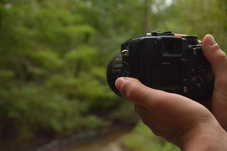 contest fotografico