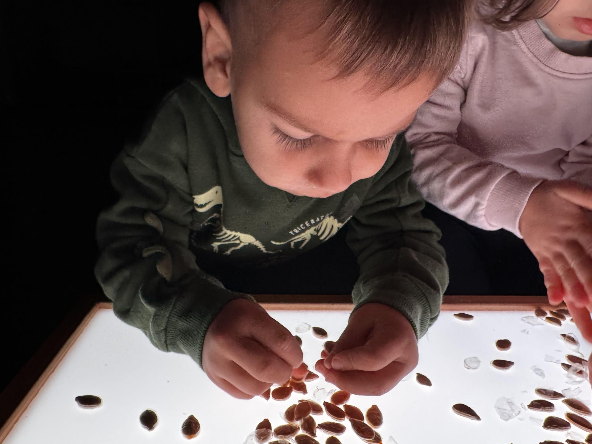 nido cusago_Ludovica Pascoli nido cusago semini