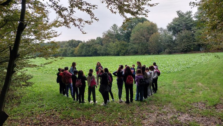 green school al lura