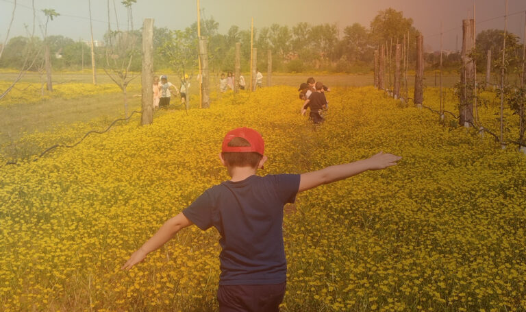 bambino che cammina in un campo fiorito
