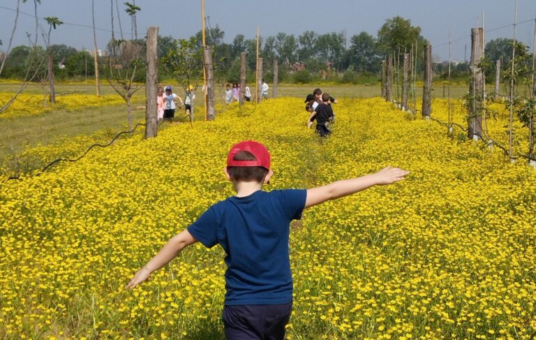 foto di un bambino che cammina su un prato